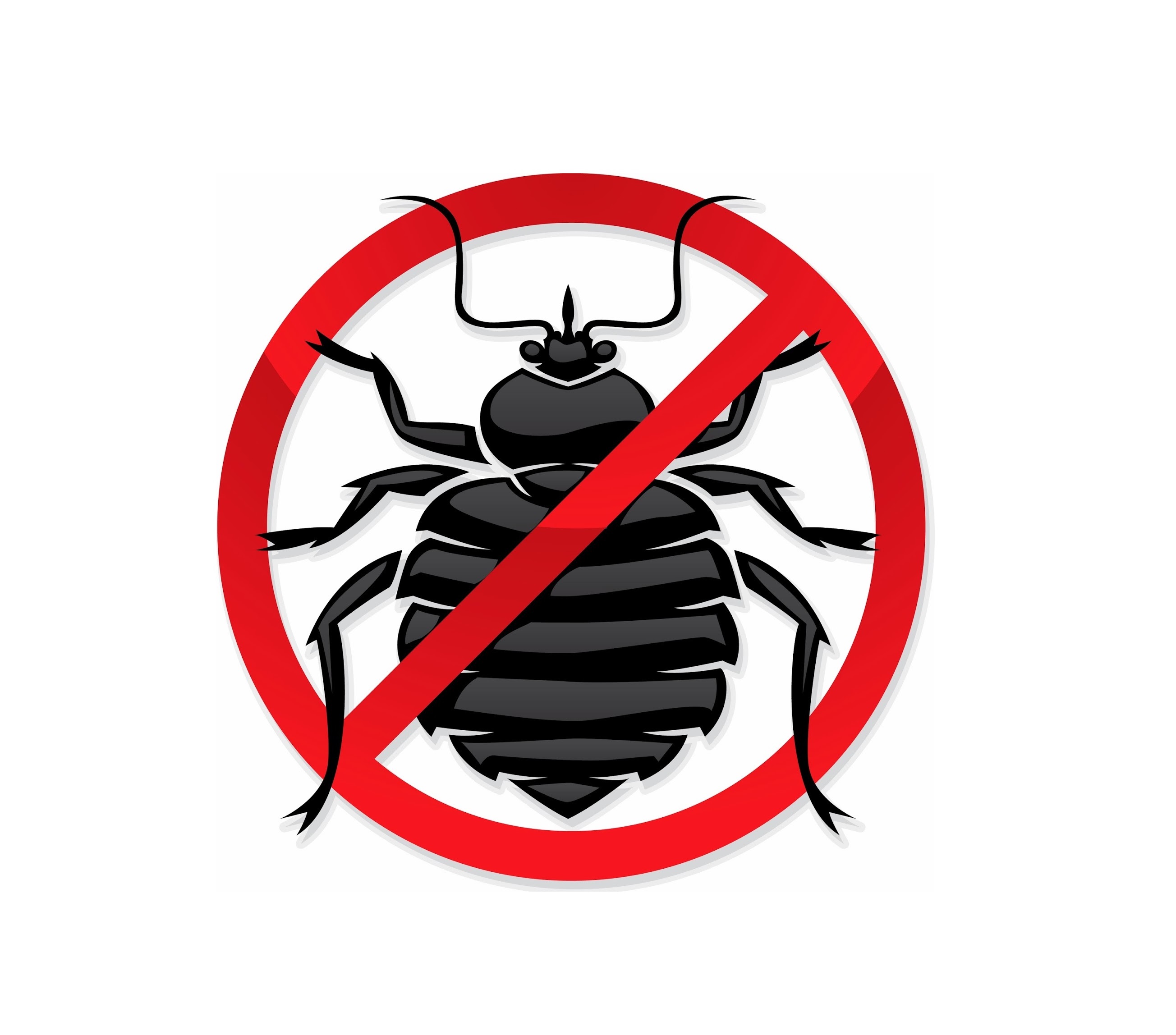 Дезинсекция, дератизация, дезинфекция