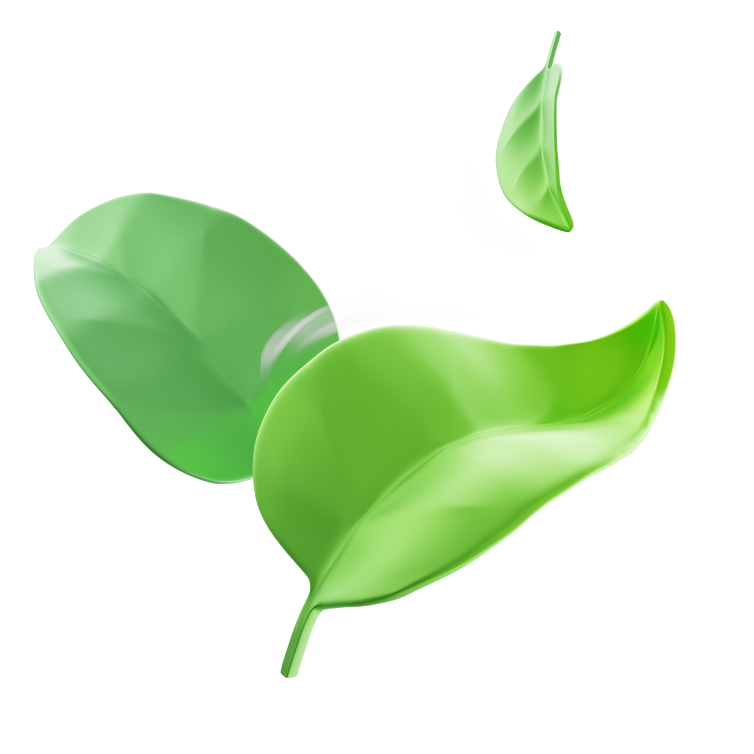 Качество жизни